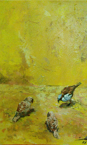 Mohsin Rauf Sparrows